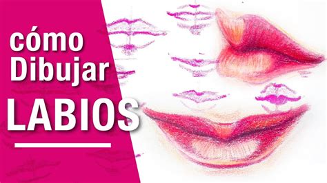 labios anime|Cómo Dibujar LABIOS Realista, Anime u otro Estilo .